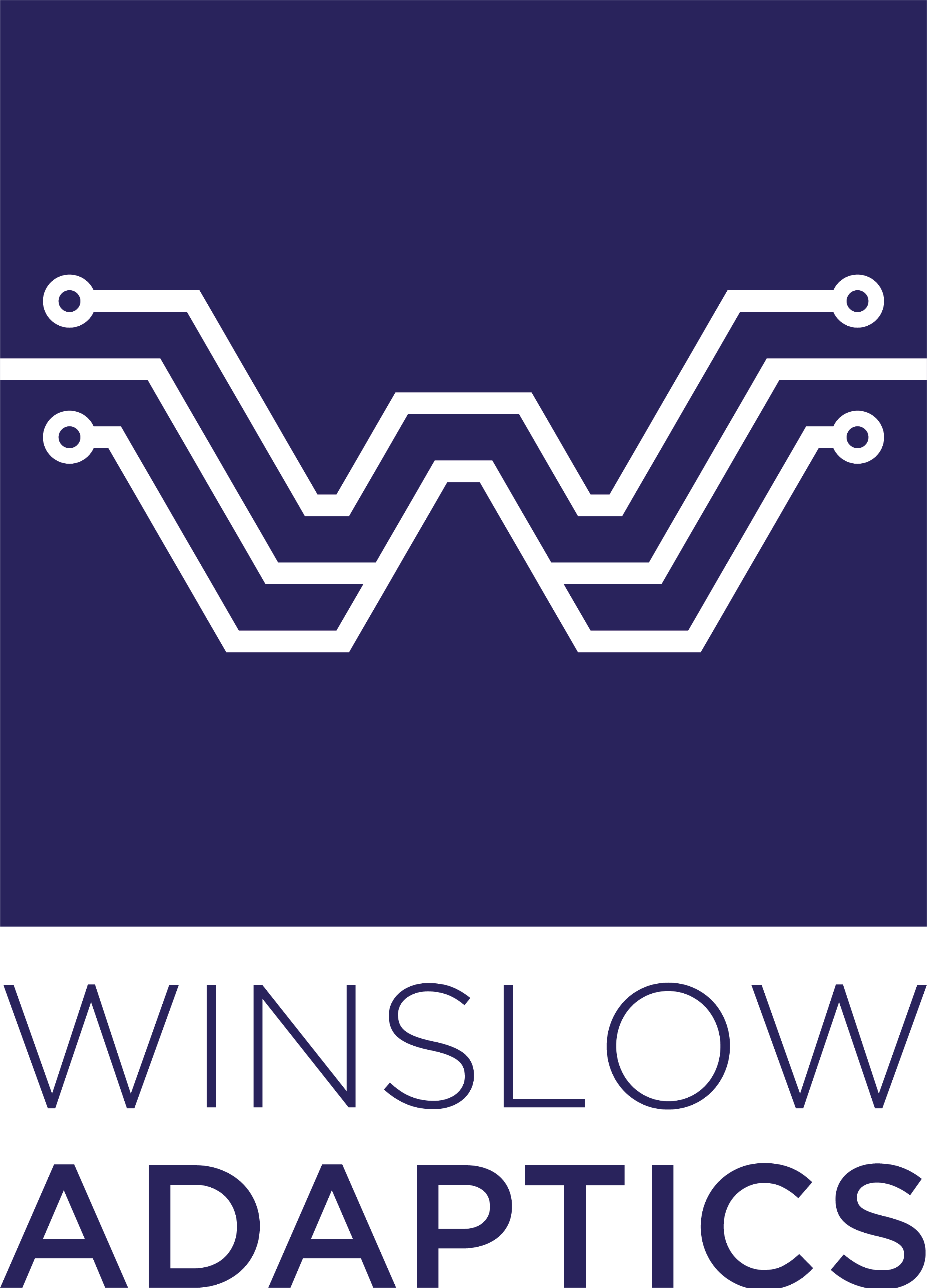 Winslow Adaptics Ltd